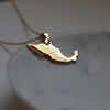 18k gold plated on stainless steel mexico country map necklace