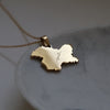Kashmir country map necklace 18k gold plated on stainless steel 